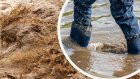 СЛЕД ПОРОЙ: Наводнение във Видинско, река излезе от коритото си