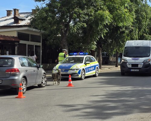 Пешеходка на 70 години пострада при удар от автомобил на пешеходна пътека в Благоевград