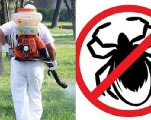 Пръскат срещу кърлежи тревните площи в община Струмяни