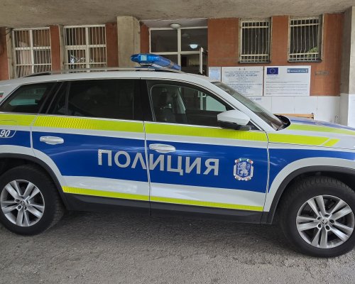 Криминална хроника от Кюстендилско: нападение над таксиметров шофьор, задържана жена за побой и разследване на умъртвени кучета