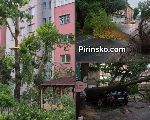 Безсънна нощ след стихията в Пиринско: Четири пожара, десетки паднали дървета и щети по автомобили